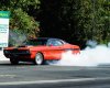 99443456-S.jpg