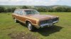country squire 2.jpg