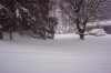 100_2979.jpg