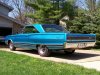 blue coronet 12.JPG