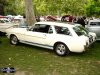 Dsc01934Stang.JPG