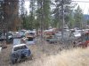 IMG_9234.jpg