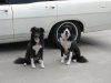 july_8_2012_012800x600.jpg