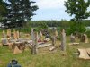 logging 3.jpg