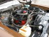 pontiac and wagon pics, naked Mary pics and regular Mary pics 051.JPG