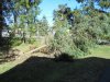 DSC00665.JPG