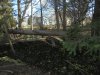 DSC00668.JPG