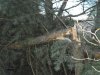 DSC00672.JPG