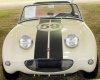 Austin Healey Sprite.jpg