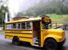 BUS.jpg