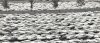 Late-1950s-Cars-in-Parking-Lot-2-1024x449.jpg
