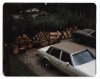 1986 through 1989 - Back Yard and Neighbor's Yard with Wagon (smaller edit for forum).jpg