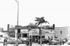 upload_2025-4-12_20-38-9.png