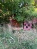 thumbnail_IMG_2463.jpg
