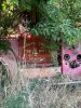 thumbnail_IMG_2464.jpg