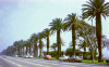 CB_20260323a-025829.png