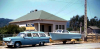 Wag_20260326-014738.png