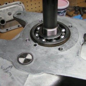 Input Shaft Bearing