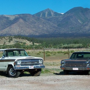 Wagoneer And Rambler