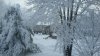 snow house.jpg