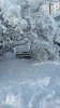 wagon in the snow 4.jpg