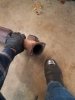20181127_154244.jpg