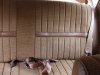 Back Seat WEB.jpg