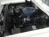 DSC00874.jpg