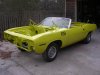 BobCuda.jpg