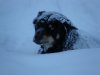 DSC04528.JPG