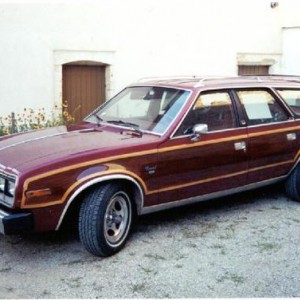 1980 Amc Concord Wagon