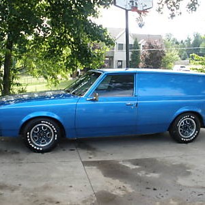 83 Cutlass Cruiser Panel