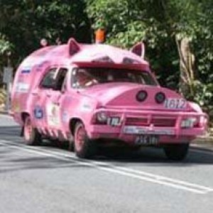 Pig Wagon......why?!