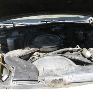 Engine Bay