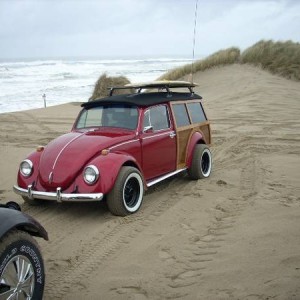 Vw Woody