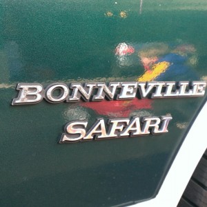 Safari