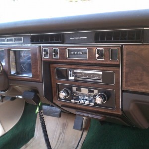 Dash1